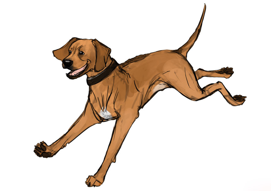 clip art rhodesian ridgeback dog - photo #3